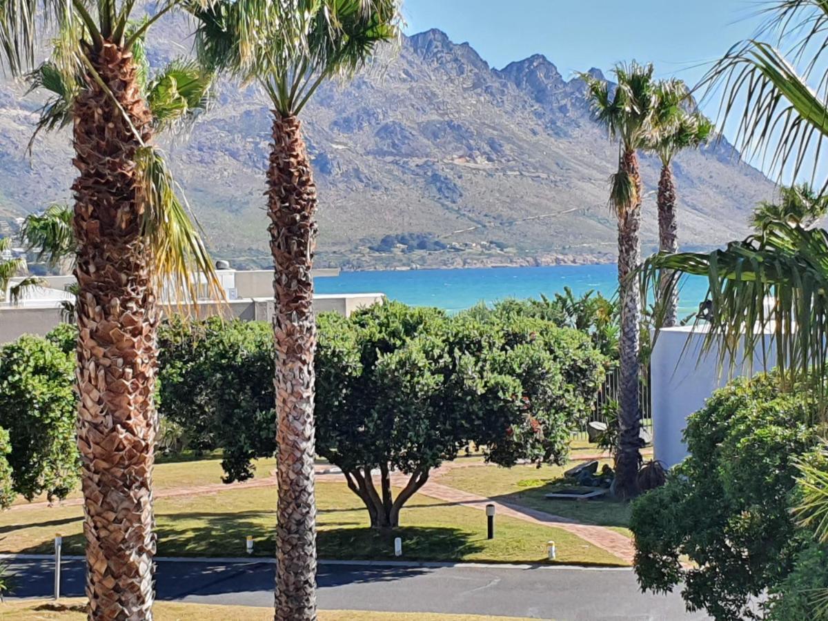 Sea And Mountain View Apartment Gordonʼs Bay Exteriér fotografie